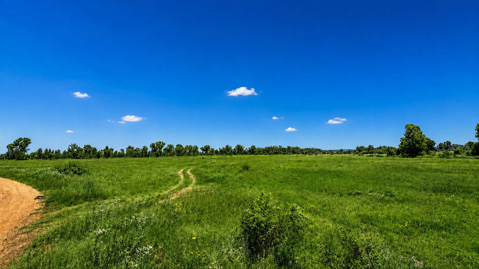 10-Acre Agricultural Land — Nanyuki Region