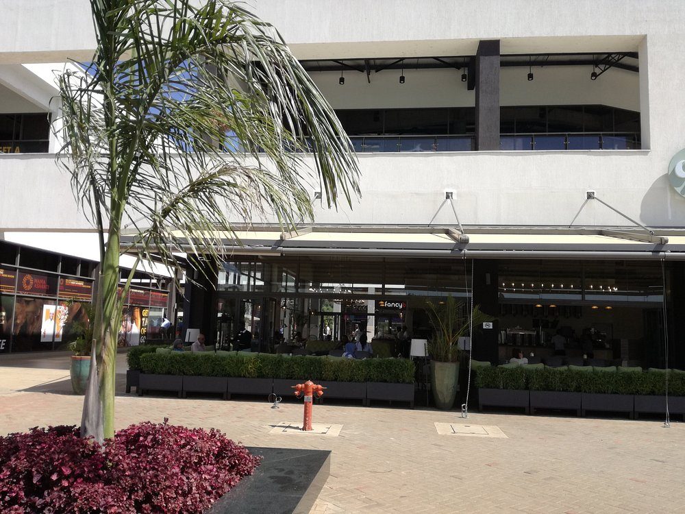 Lounge terraces with palms — the suburb’s living room